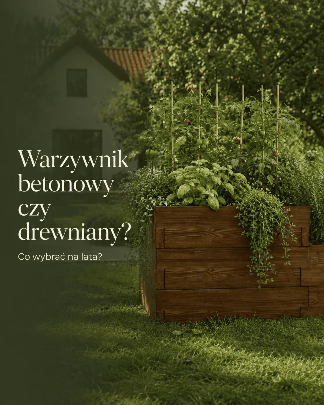 Warzywnik betonowy czy drewniany? Porównanie na lata