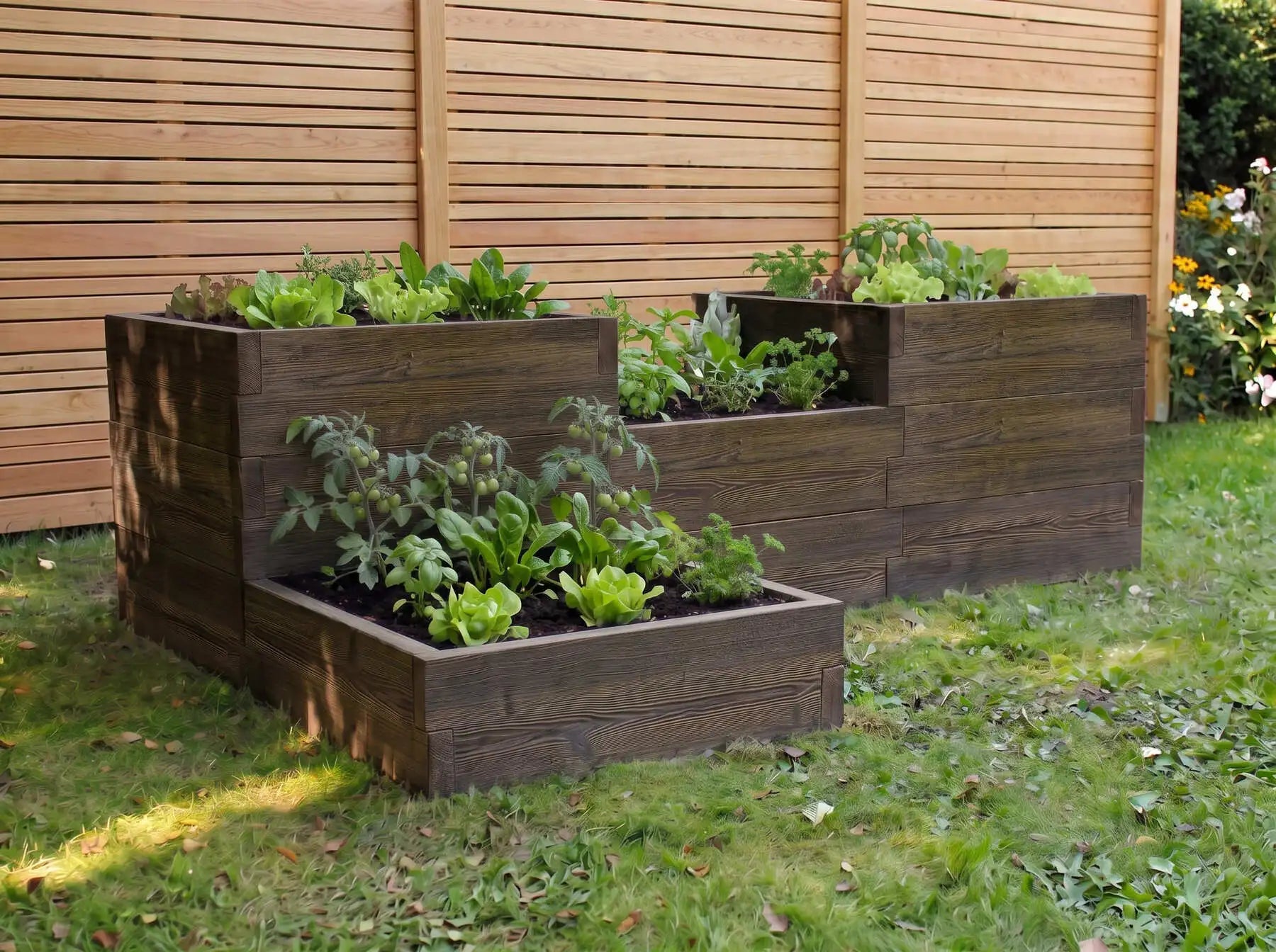 Modułowy warzywnik betonowy w kolorze palisander z warzywami i ziołami w ogrodzie