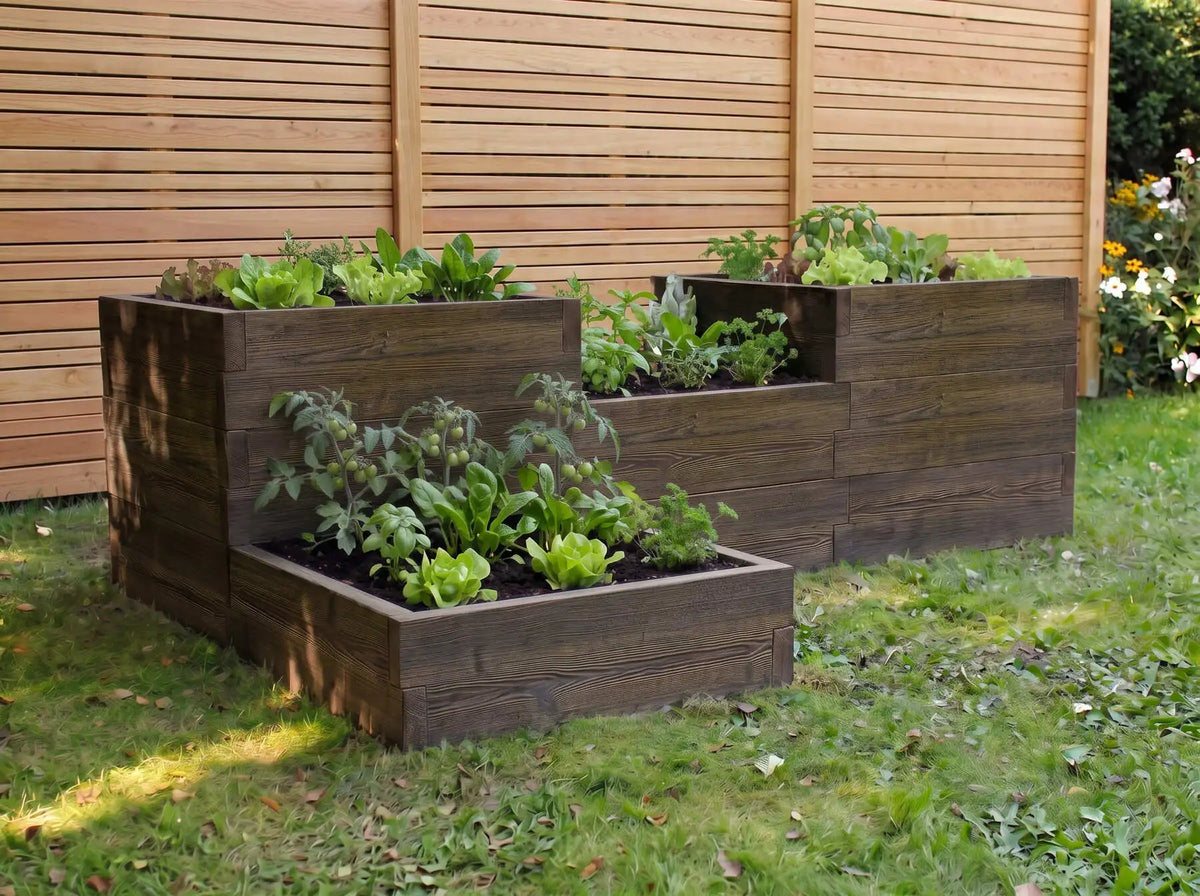 Modułowy warzywnik betonowy w kolorze palisander z warzywami i ziołami w ogrodzie