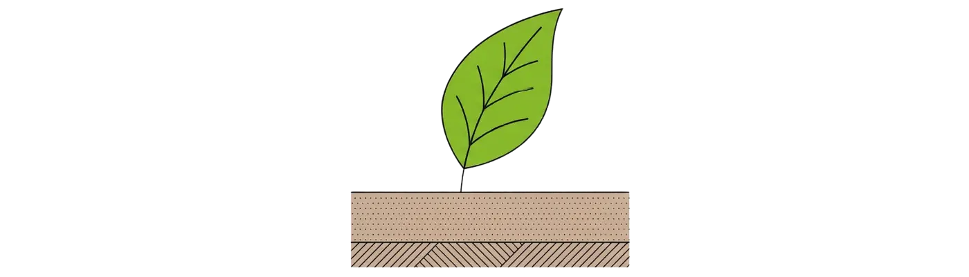 Żyzna gleba w warzywniku dzięki warstwom organicznym